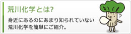 荒川化学とは